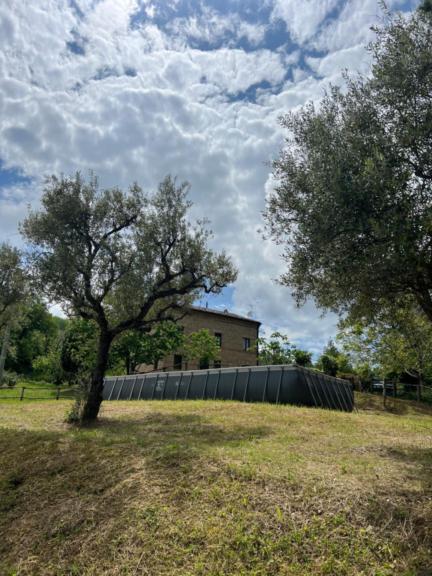 Tenuta Gran Bosco Loro Piceno Экстерьер фото