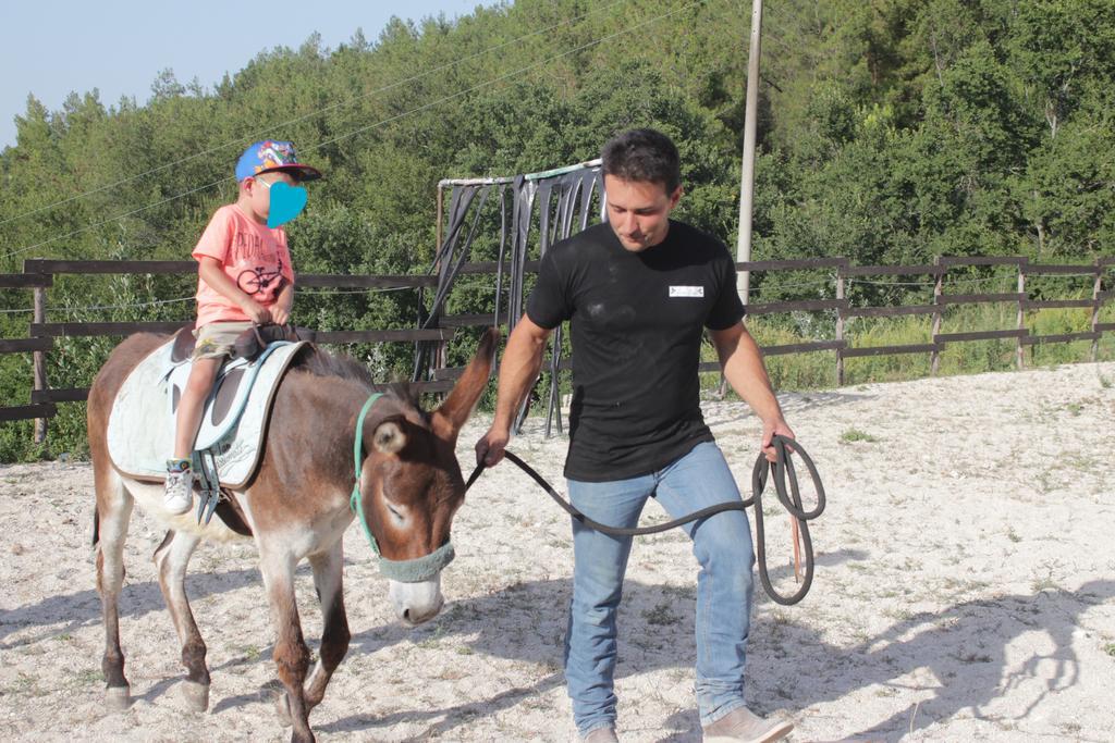 Tenuta Gran Bosco Loro Piceno Экстерьер фото