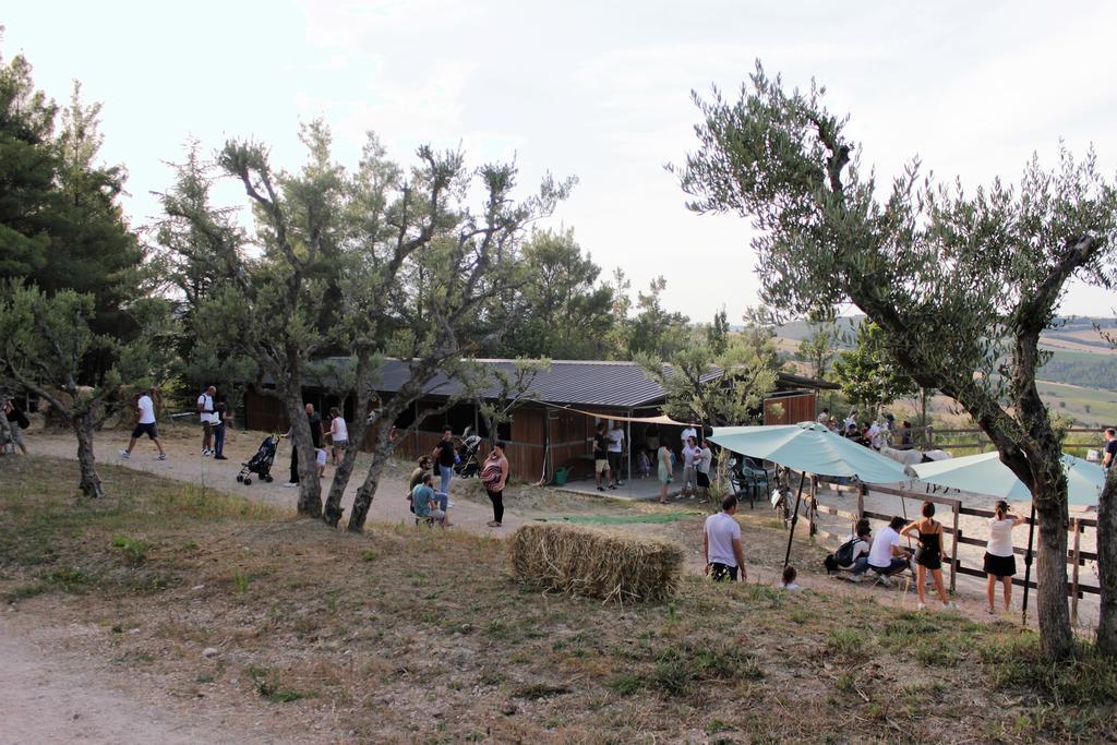 Tenuta Gran Bosco Loro Piceno Экстерьер фото