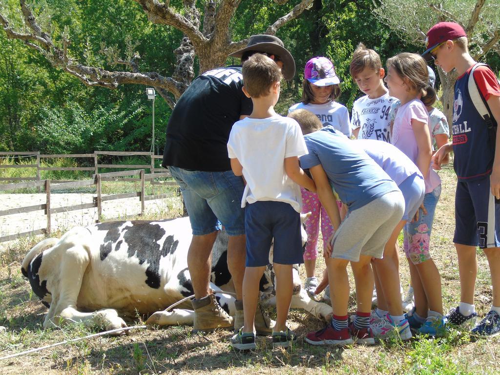 Tenuta Gran Bosco Loro Piceno Экстерьер фото
